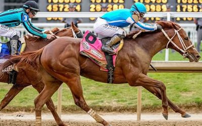 My Horse Racing Picks for This Saturday’s Preakness Stakes