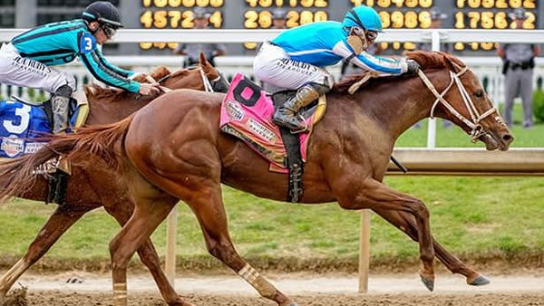 My Horse Racing Picks for This Saturday’s Preakness Stakes