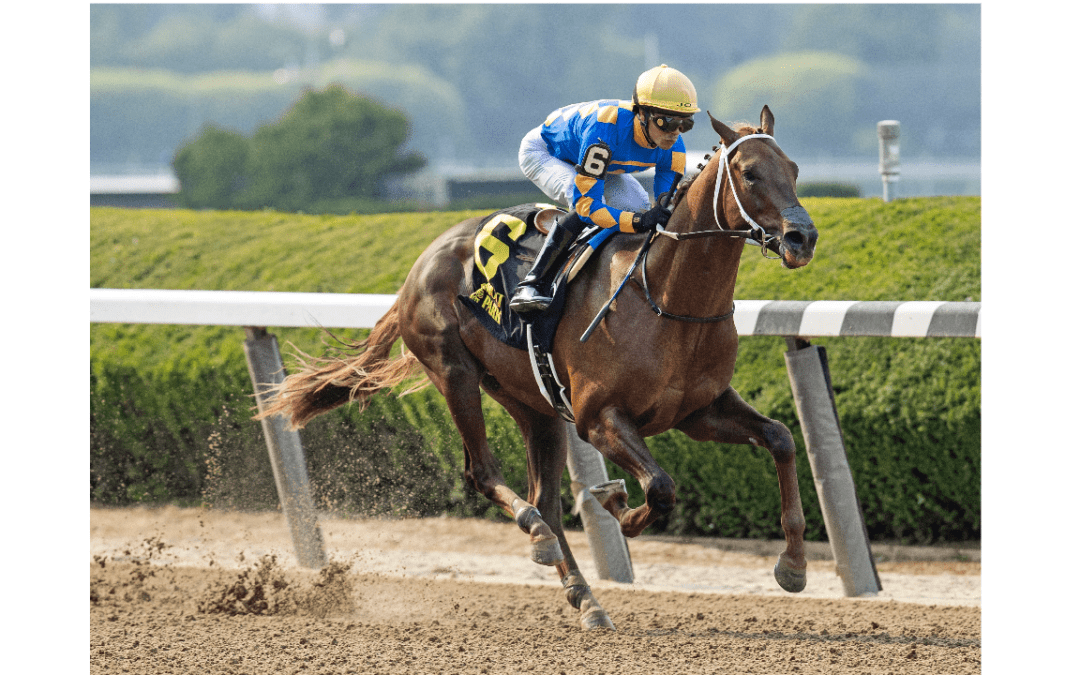 Handicapping Predictions for the Sanford Stakes