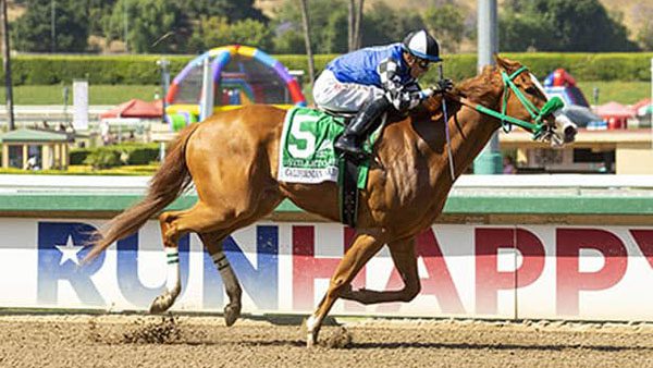 Unveiling Top Picks for This Saturday’s Awesome Again Stakes at Santa Anita Park