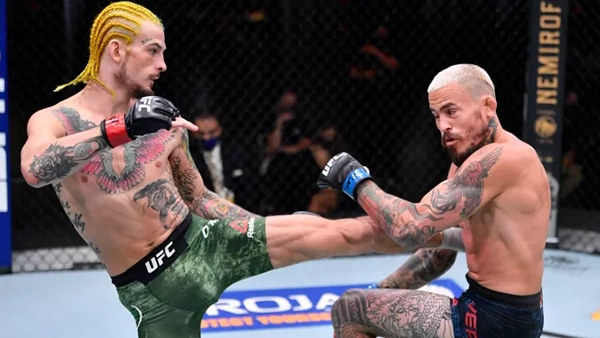 Sean Omalley vs. Marlon Vera Fight