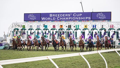 2024 Breeders' Cup Betting - Race Overview & Bet Types